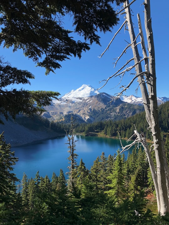 lake in Deming United States