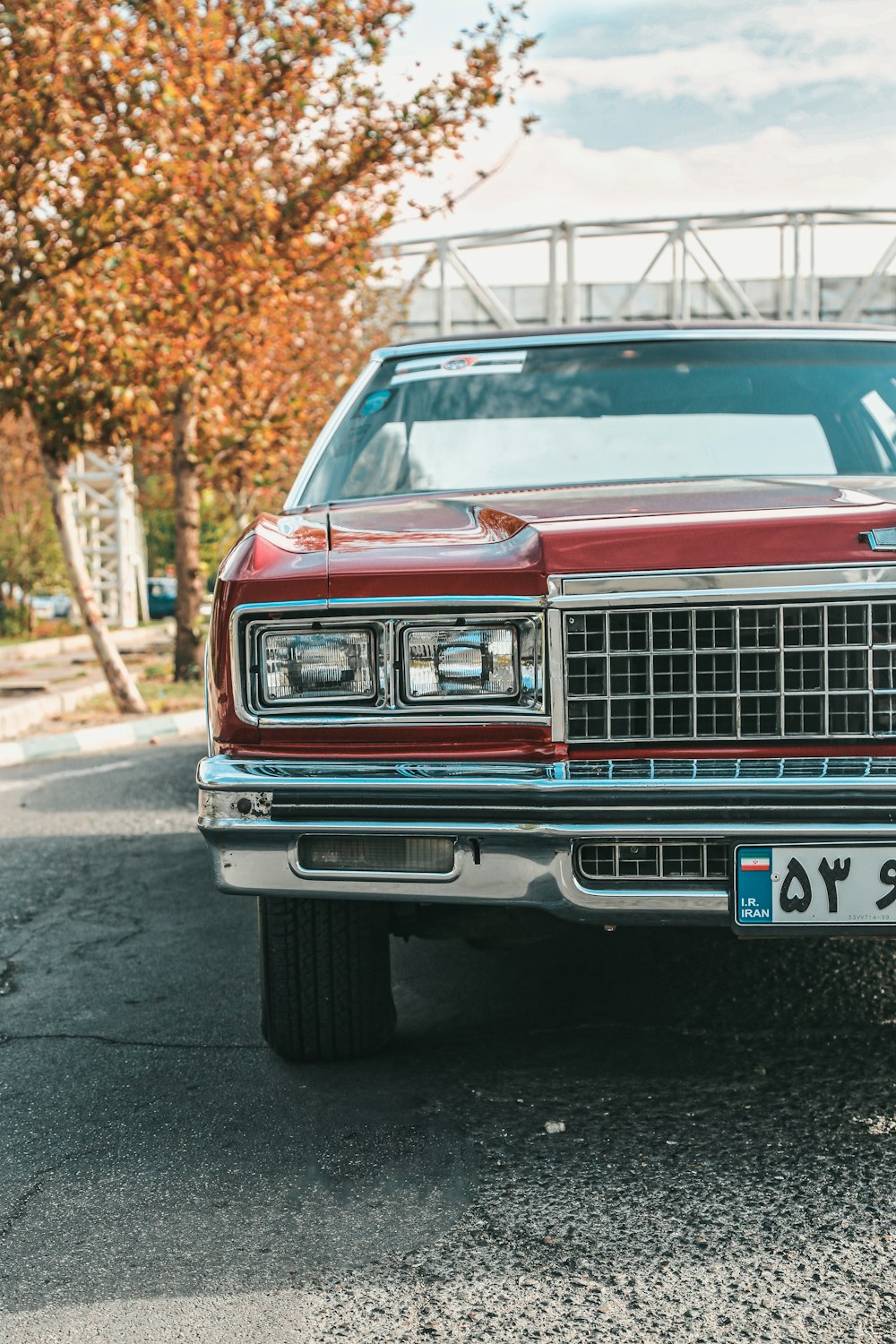 carro vermelho perto da árvore