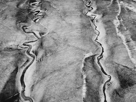 Black and white aerial view of a restored wetland area with winding water channels.