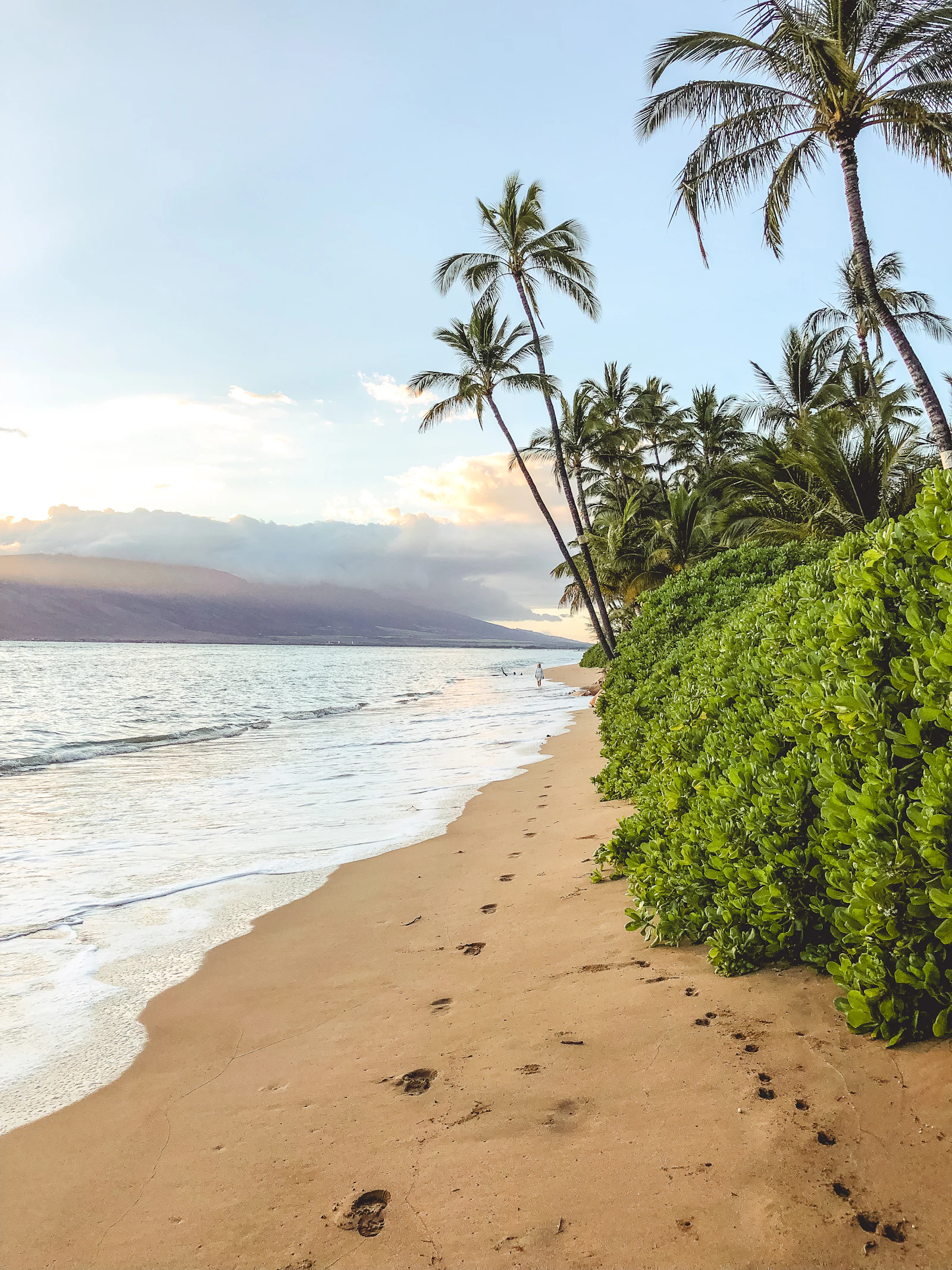 Palmengesäumter Sandstrand an der Küste von Maui