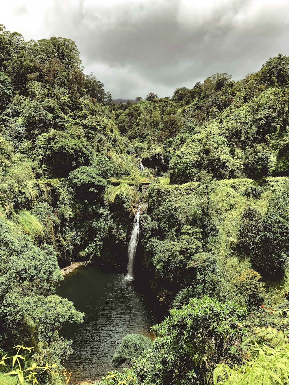 waterfalls in forest under white clouds