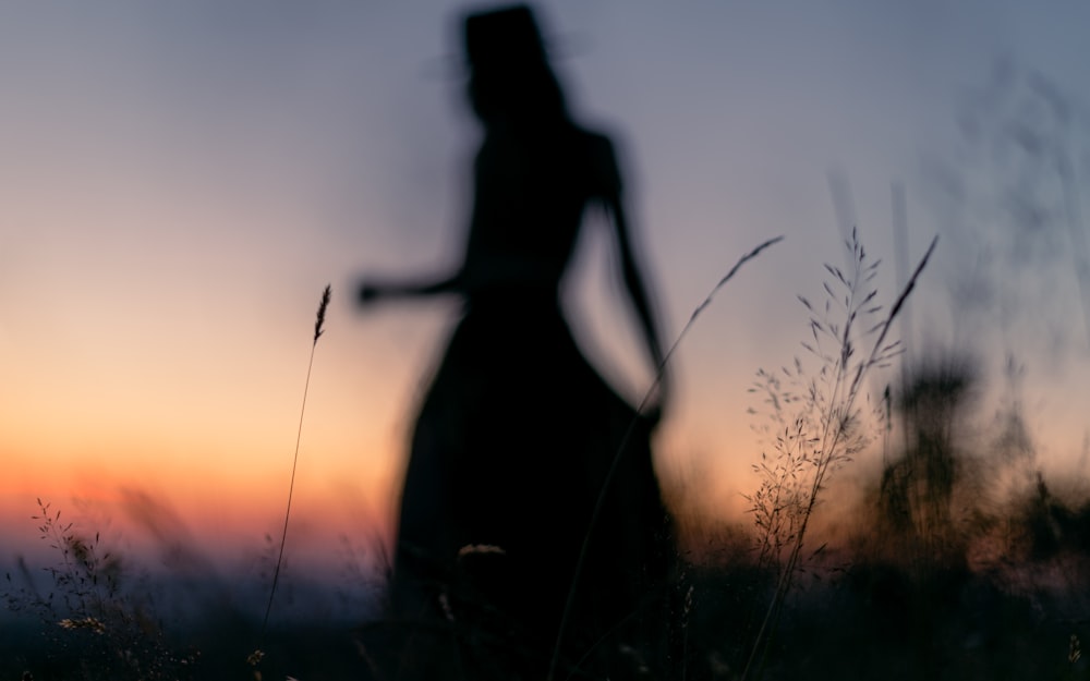 silhouette photography of woman standing on grass field