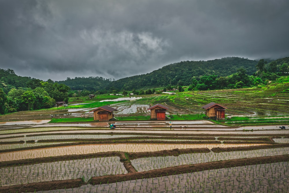 mountains under cloudy sky during daytime