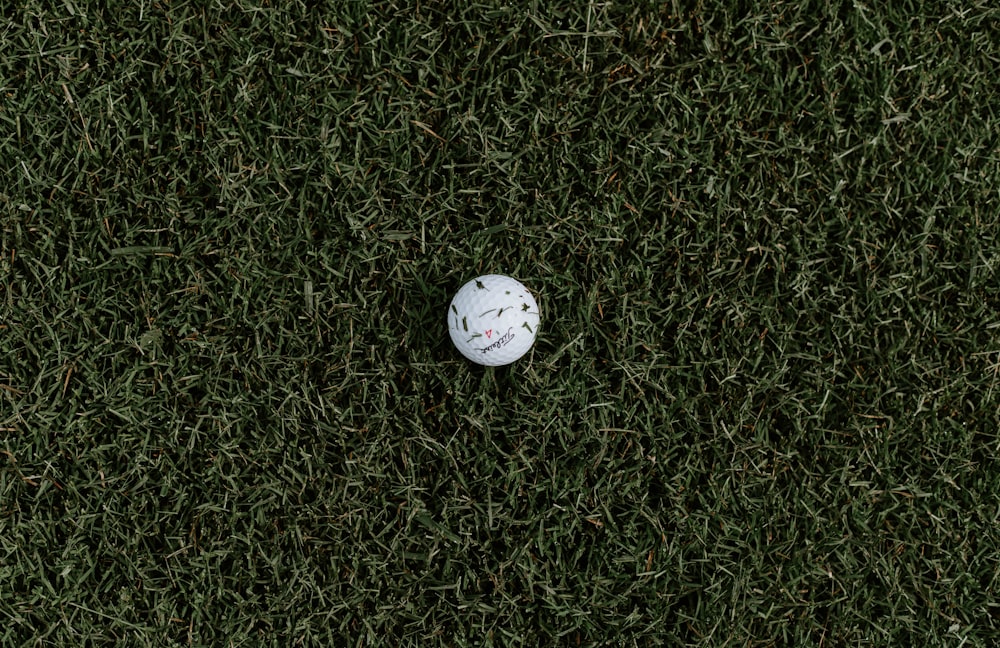 white golf ball on green grass