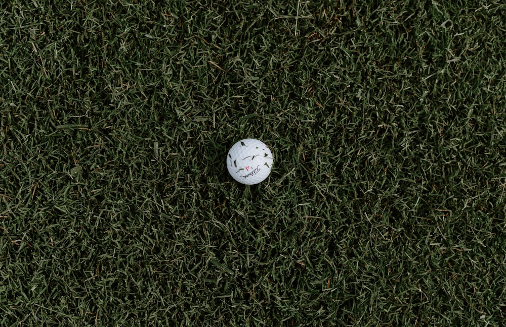 pallina da golf bianca su erba verde