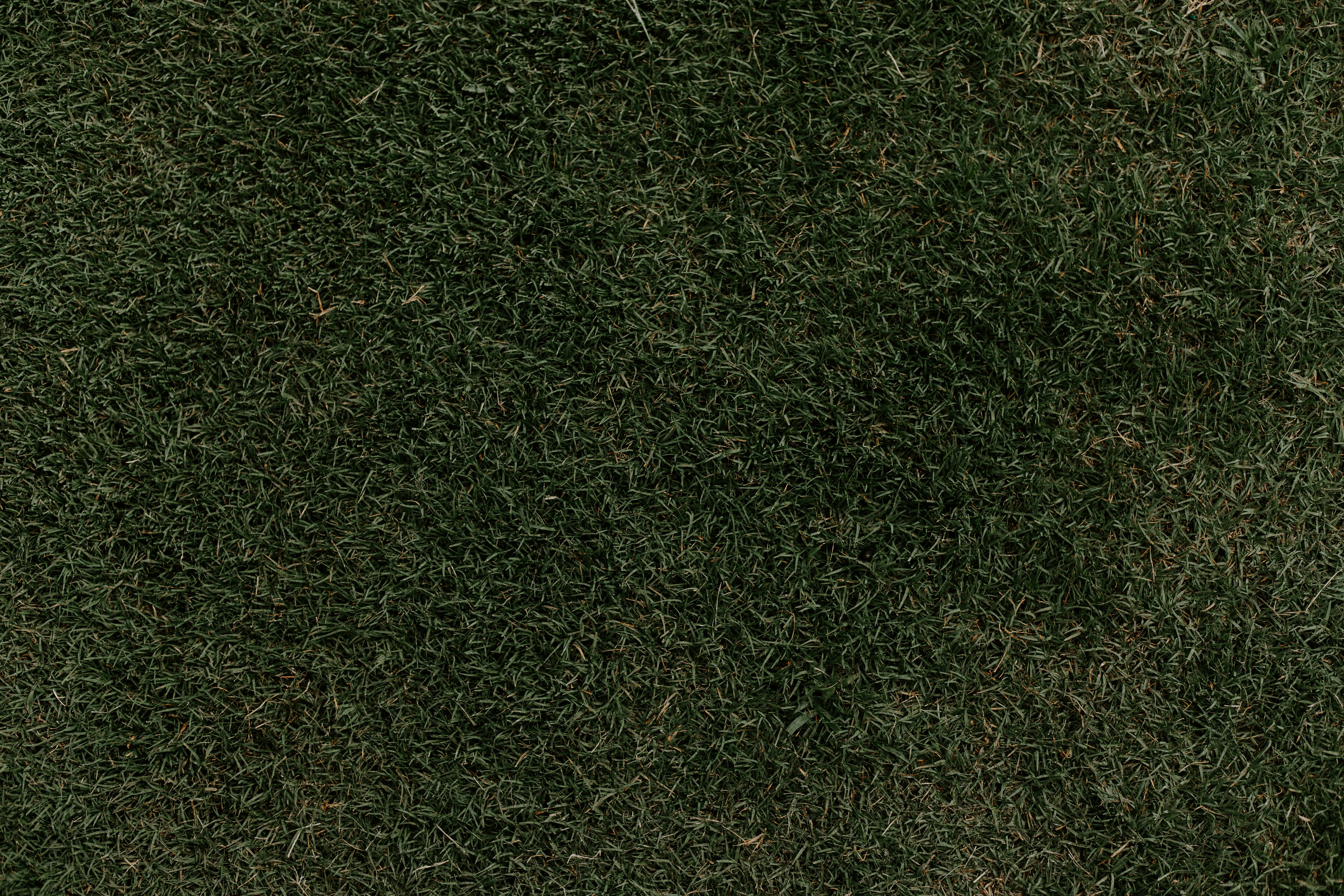 Premium turf quality