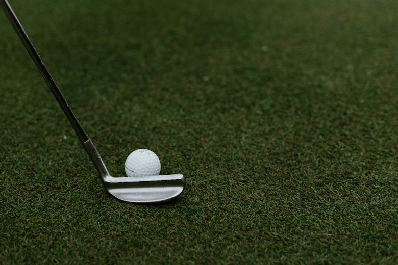 Best Mallet Putters 2026