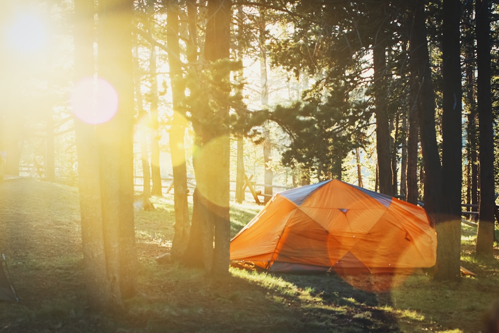 Orangefarbenes Zelt im Wald