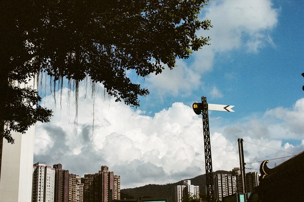 brown and white buildings