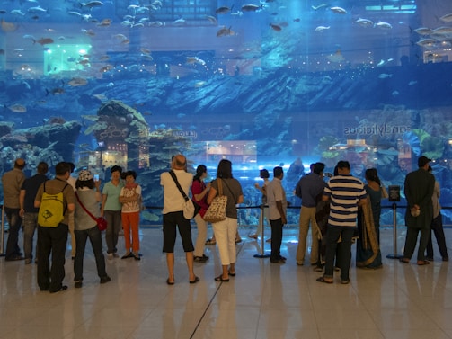 A large group of people stands in front of a massive indoor aquarium, observing aquatic life. Various types of fish swim in the blue-lit tank, with rocks and coral formations visible in the background. The spectators appear to be engaged and curious as they gaze at the marine display.