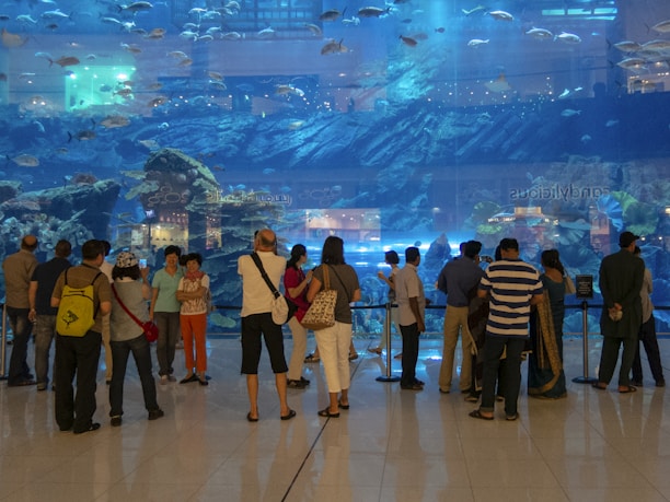 A large group of people stands in front of a massive indoor aquarium, observing aquatic life. Various types of fish swim in the blue-lit tank, with rocks and coral formations visible in the background. The spectators appear to be engaged and curious as they gaze at the marine display.