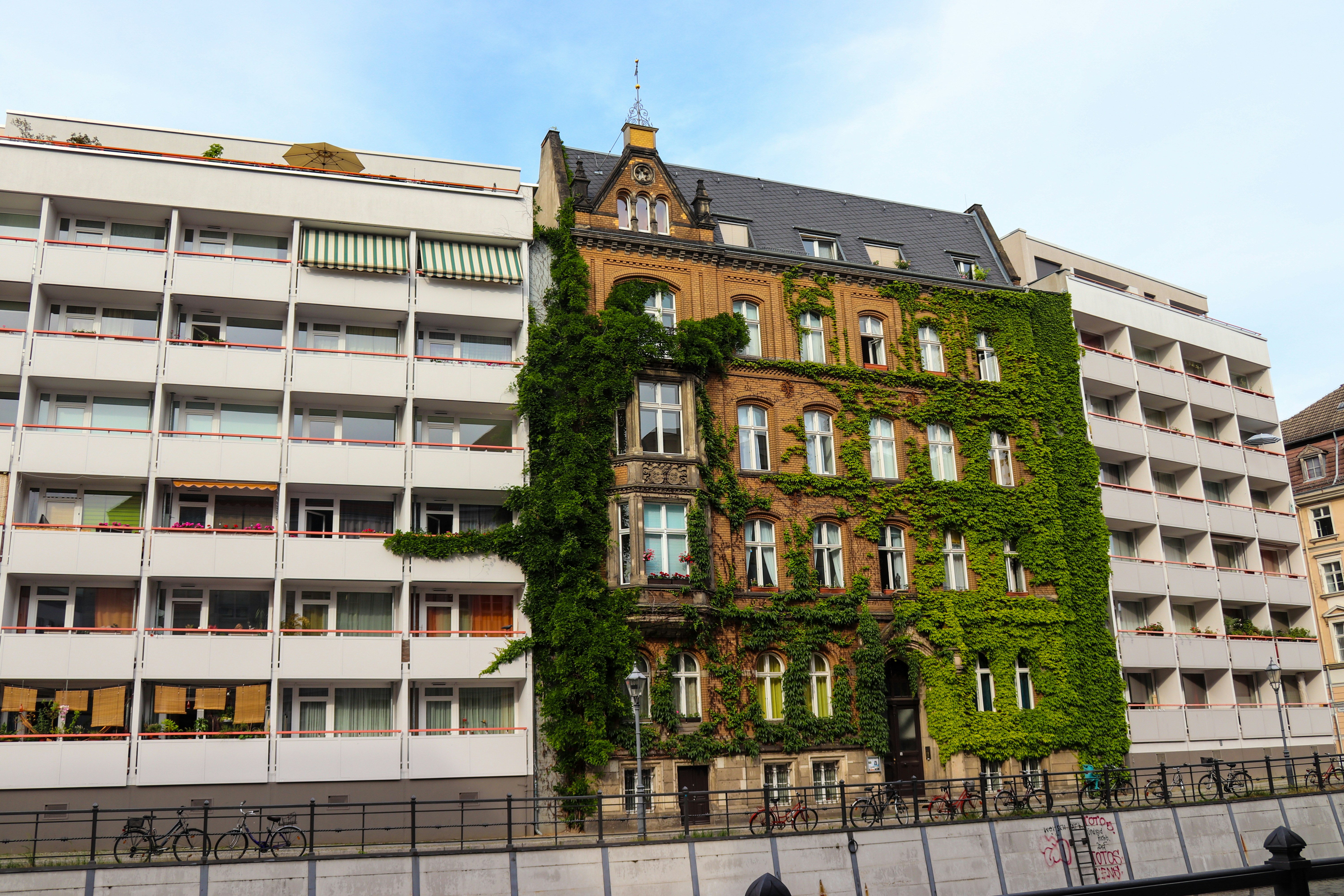 brown and gray building covered in vines, 