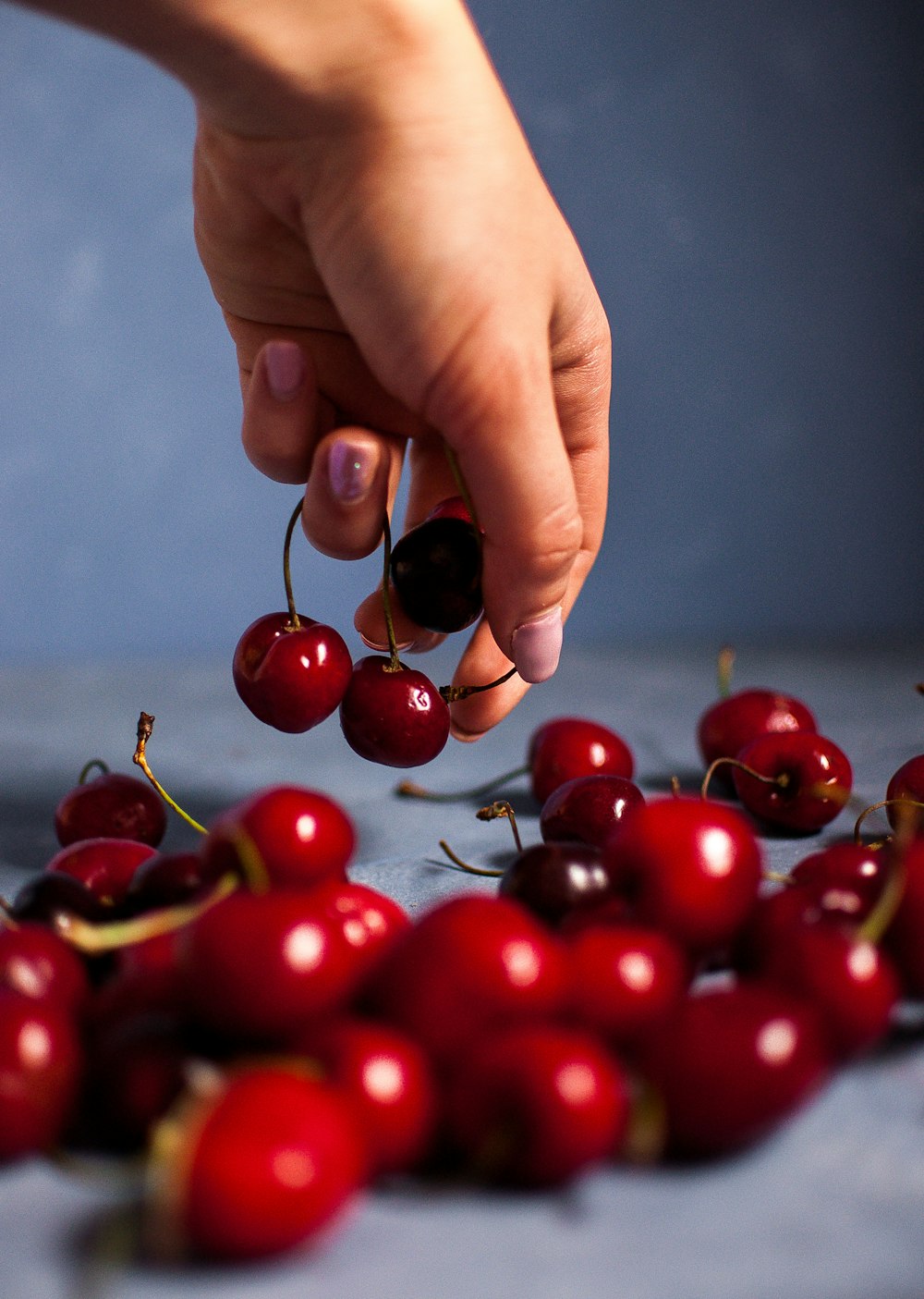 person holding cherries