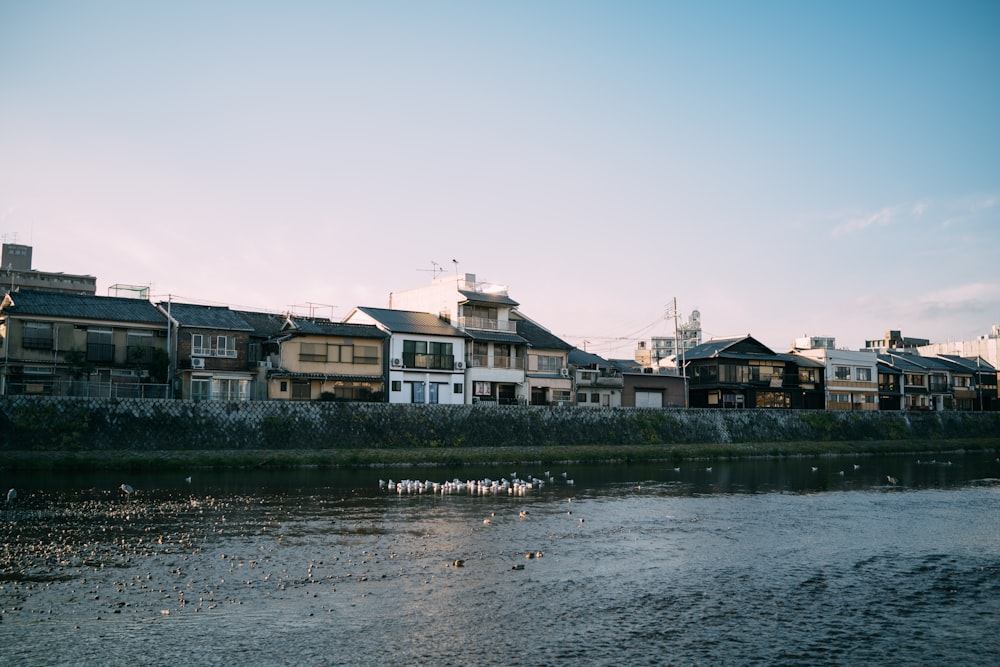 river beside houses during daytime