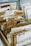 A collection of greeting cards organized into several cardboard sections in a box. Labels on the cardboard dividers indicate categories like 'General' and 'Birthday Cards.' Each section contains various cards, with some portions of the text on the cards visible.