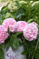 An elegant flower box filled with vibrant peonies and greenery, perfect for gifting.