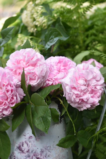 An elegant flower box filled with vibrant peonies and greenery, perfect for gifting.