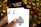 A hand holding two playing cards, an Ace of Clubs and an Ace of Spades, with a backdrop of gold Bitcoin tokens. The hand has an orange fingernail with a white Bitcoin symbol on it. The background features a stack of poker chips with a logo that reads 'Real Poker'.