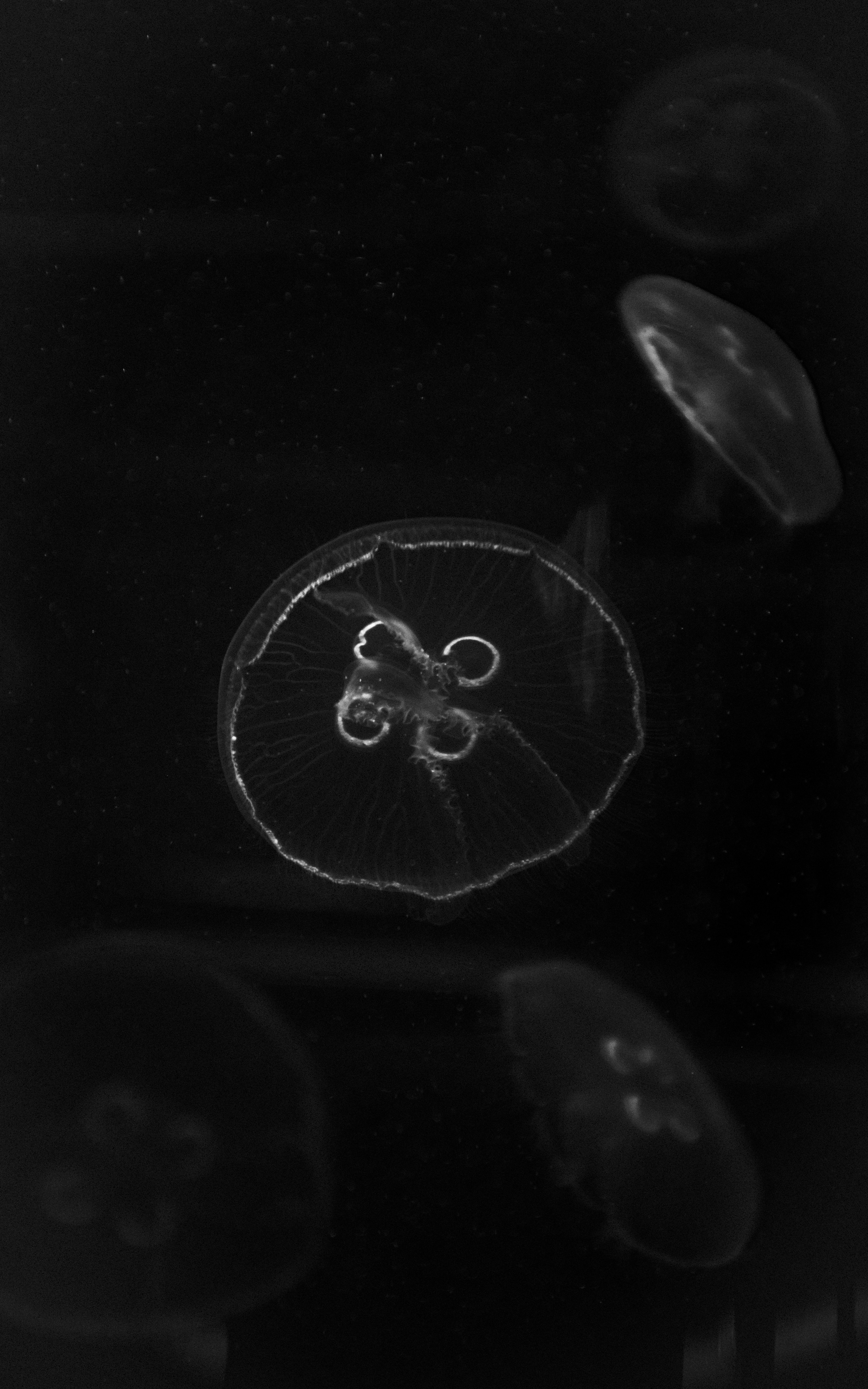 Photo by williamfntn