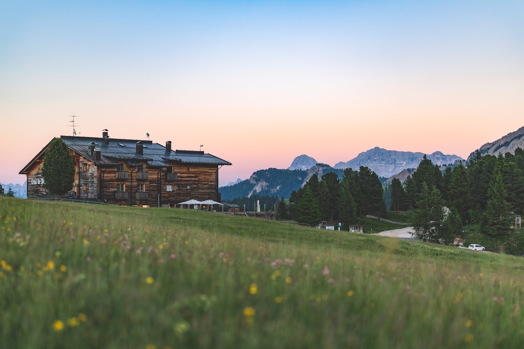 brown wooden house among grassy fields