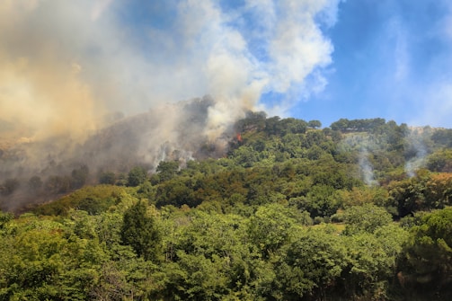 A forested hillside with dense green trees is partially engulfed in smoke, with visible flames indicating a wildfire. The sky is a clear blue, contrasting with the thick smoke rising from the fire.