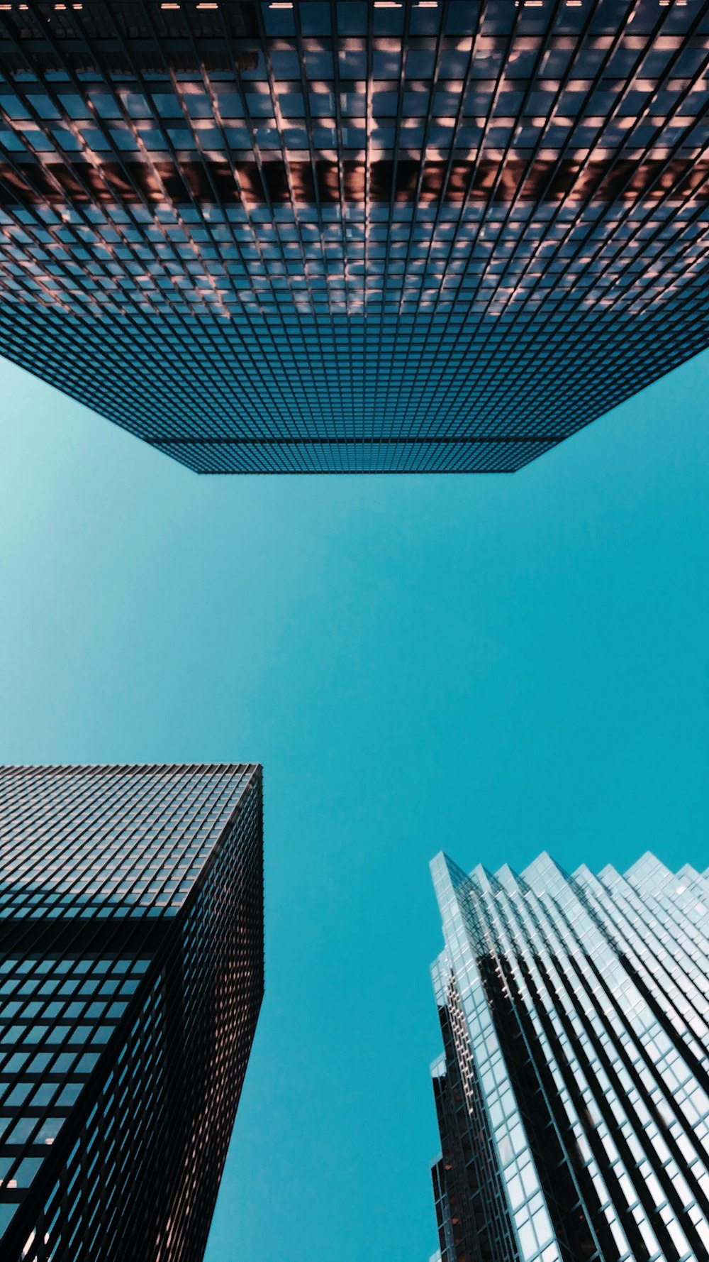 커튼월 고층 건물의 로우 앵글 사진