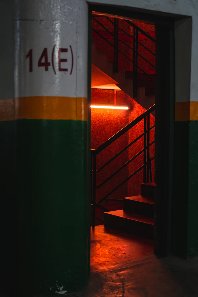 photo-1562226581-389f14a0e1da?ixlib=rb-4.1.0&ixid=M3wxMjA3fDB8MHxwaG90by1wYWdlfHx8fGVufDB8fHx8fA%3D%3D&auto=format&fit=crop&q=80&w=687