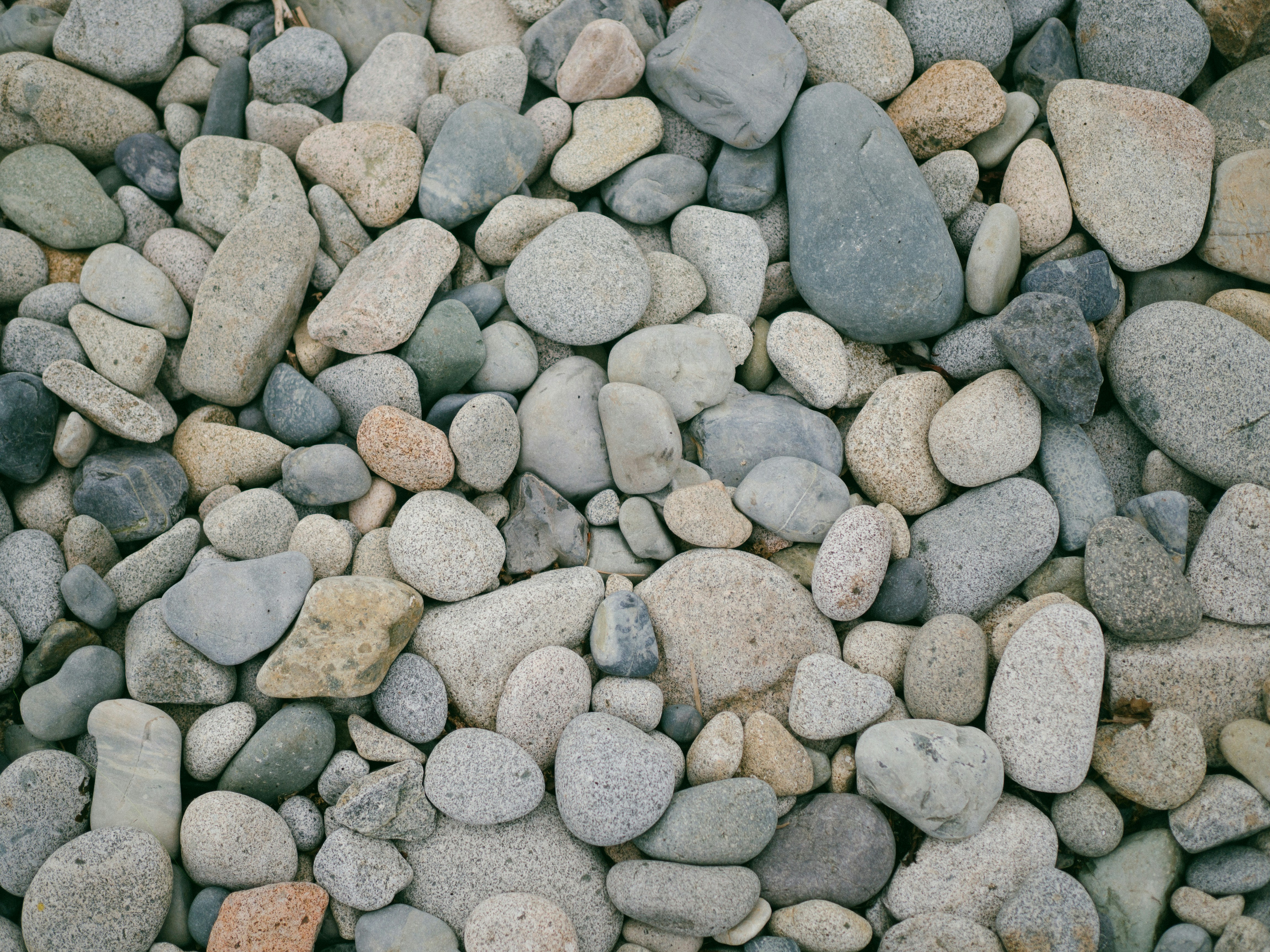 Photo by bemerrychristmas