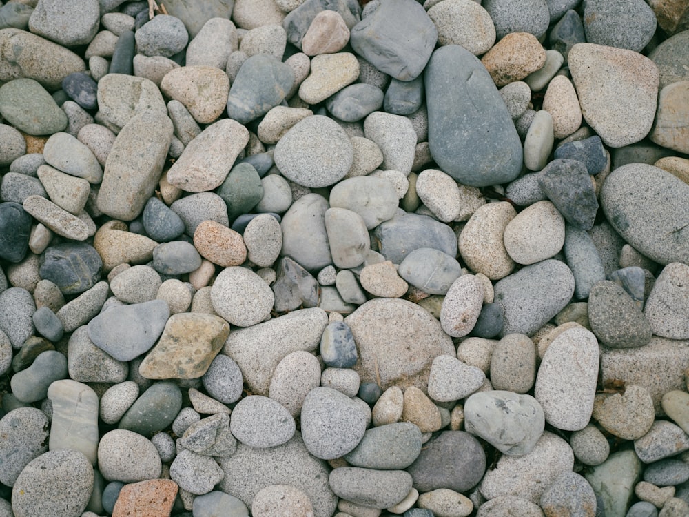 white pebble lot