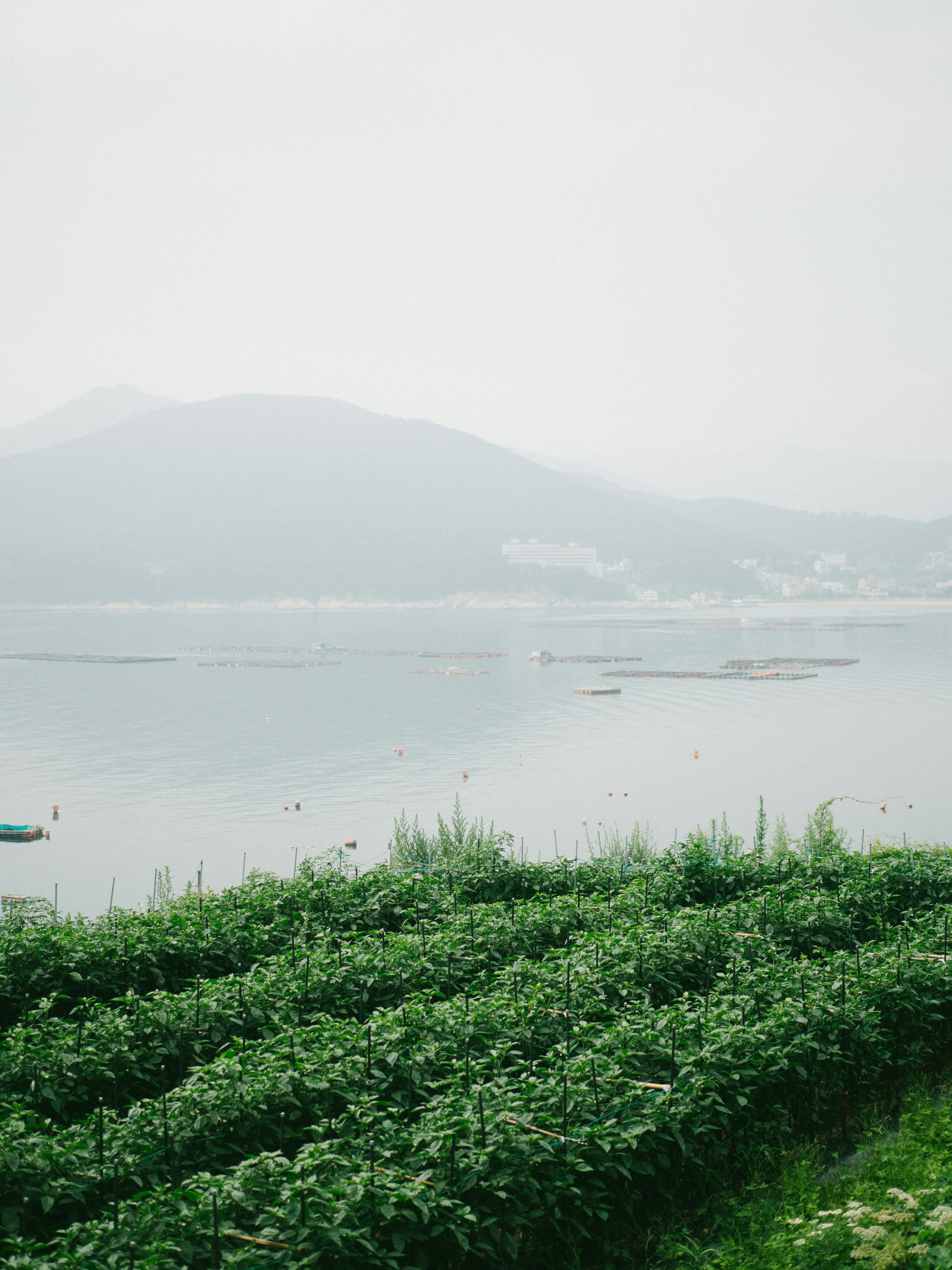 Photo by bemerrychristmas