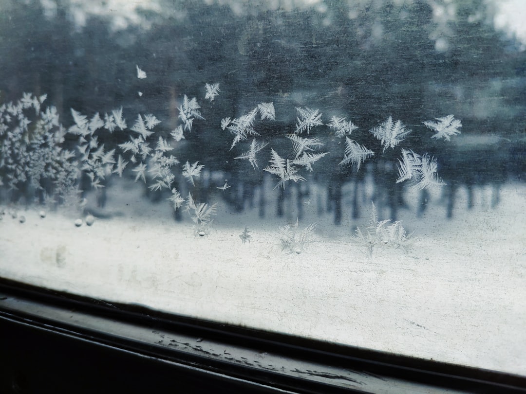 snowflakes on vehicle's window
