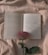 pink rose on open book