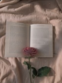 An open book with text in Vietnamese is laid flat on a soft, crumpled fabric surface. A single pink rose with a long green stem is placed across the pages. The scene is dimly lit, creating a serene and contemplative atmosphere.