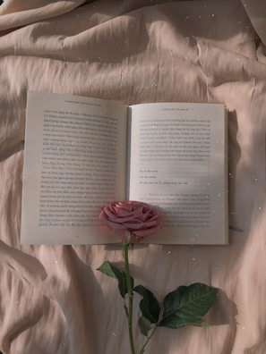 An open book with text in Vietnamese is laid flat on a soft, crumpled fabric surface. A single pink rose with a long green stem is placed across the pages. The scene is dimly lit, creating a serene and contemplative atmosphere.
