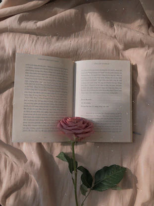 pink rose on open book