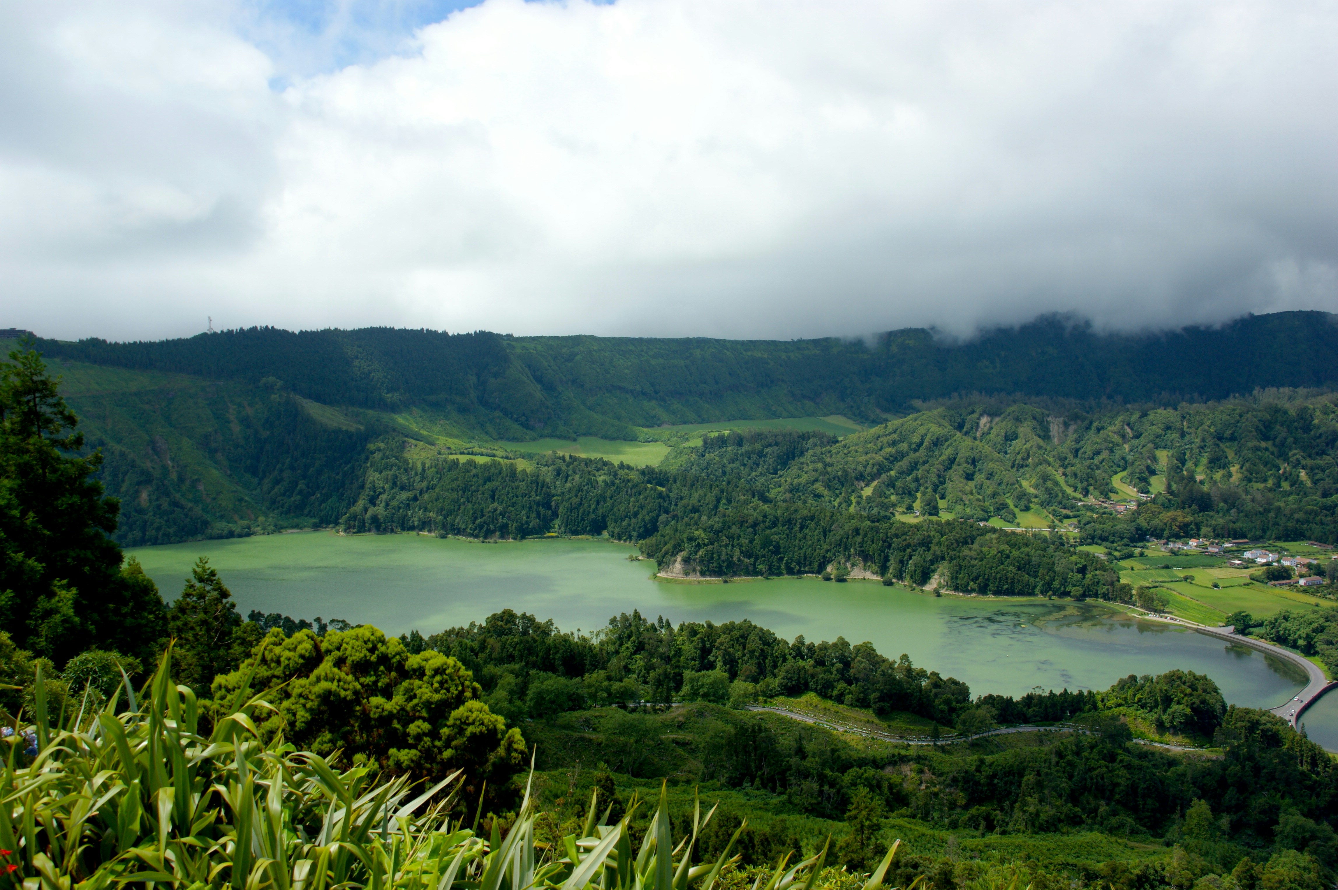 Photo by ingridensing