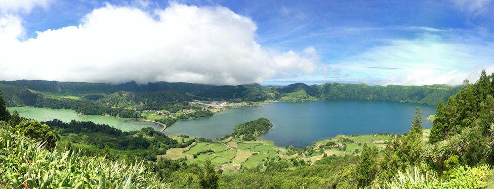 green trees and grassed surrounding lake under white and blue cloudy sky