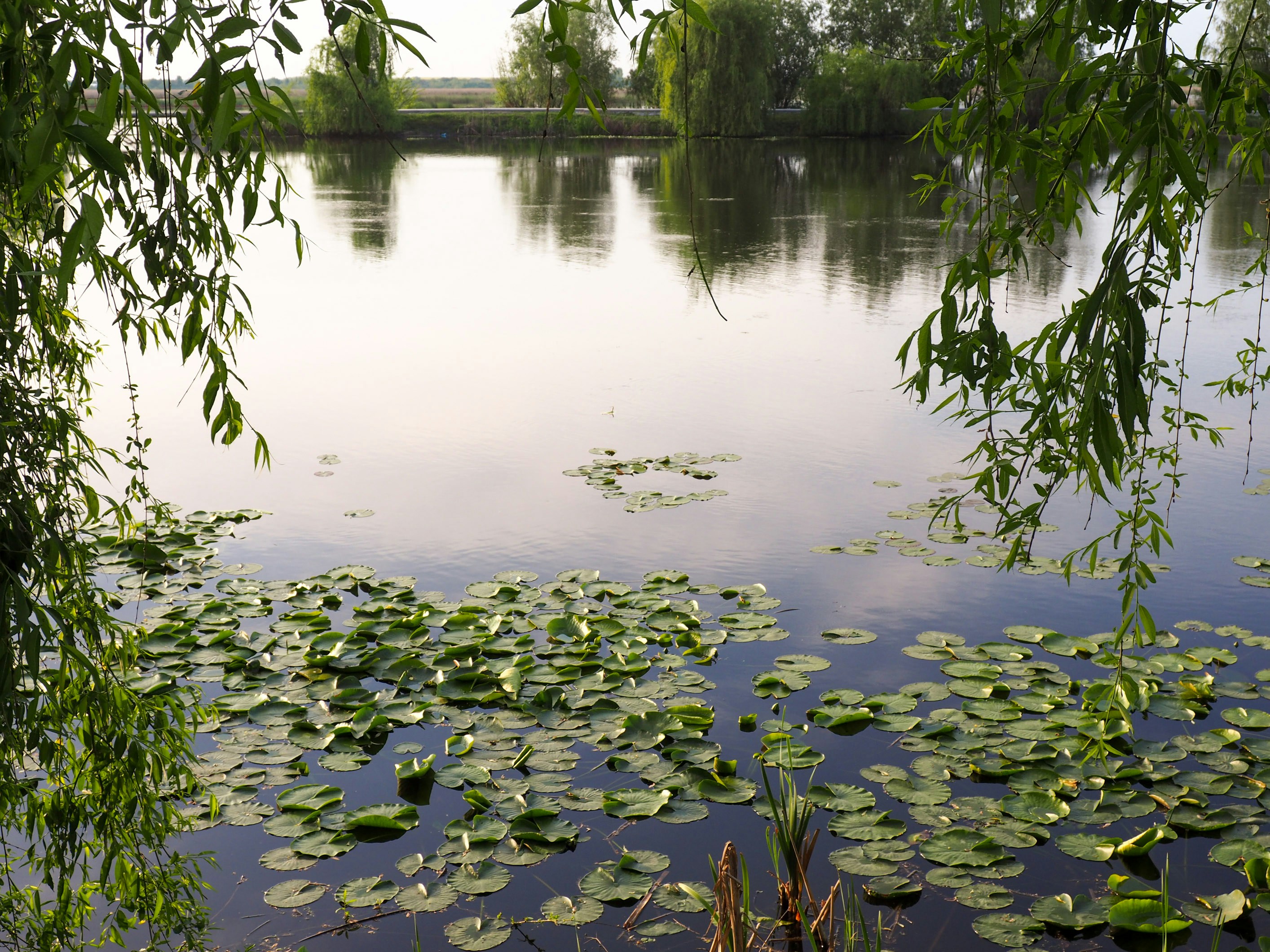 Photo by bienculina89