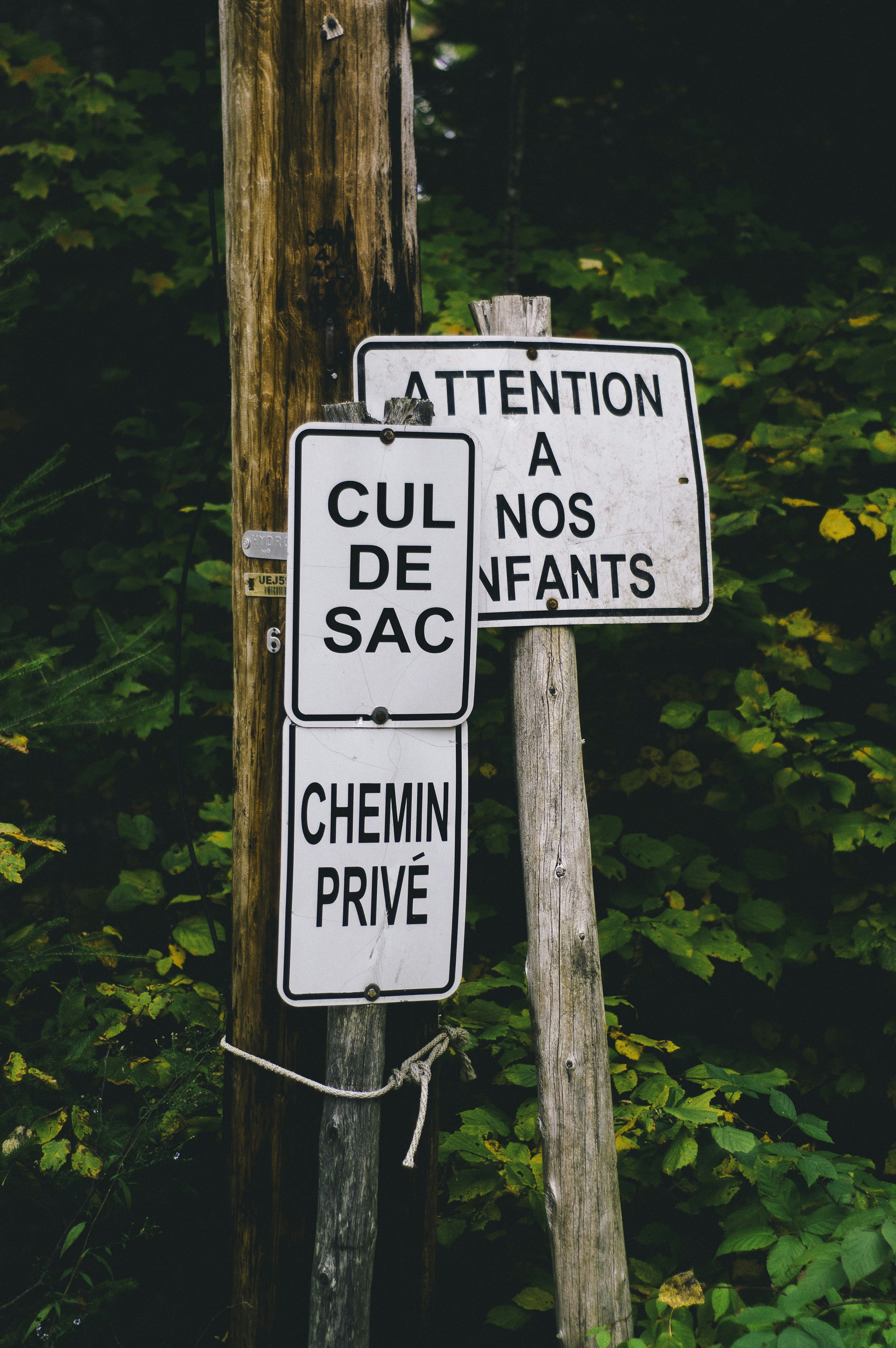 White signages photo – Free Signage Image on Unsplash