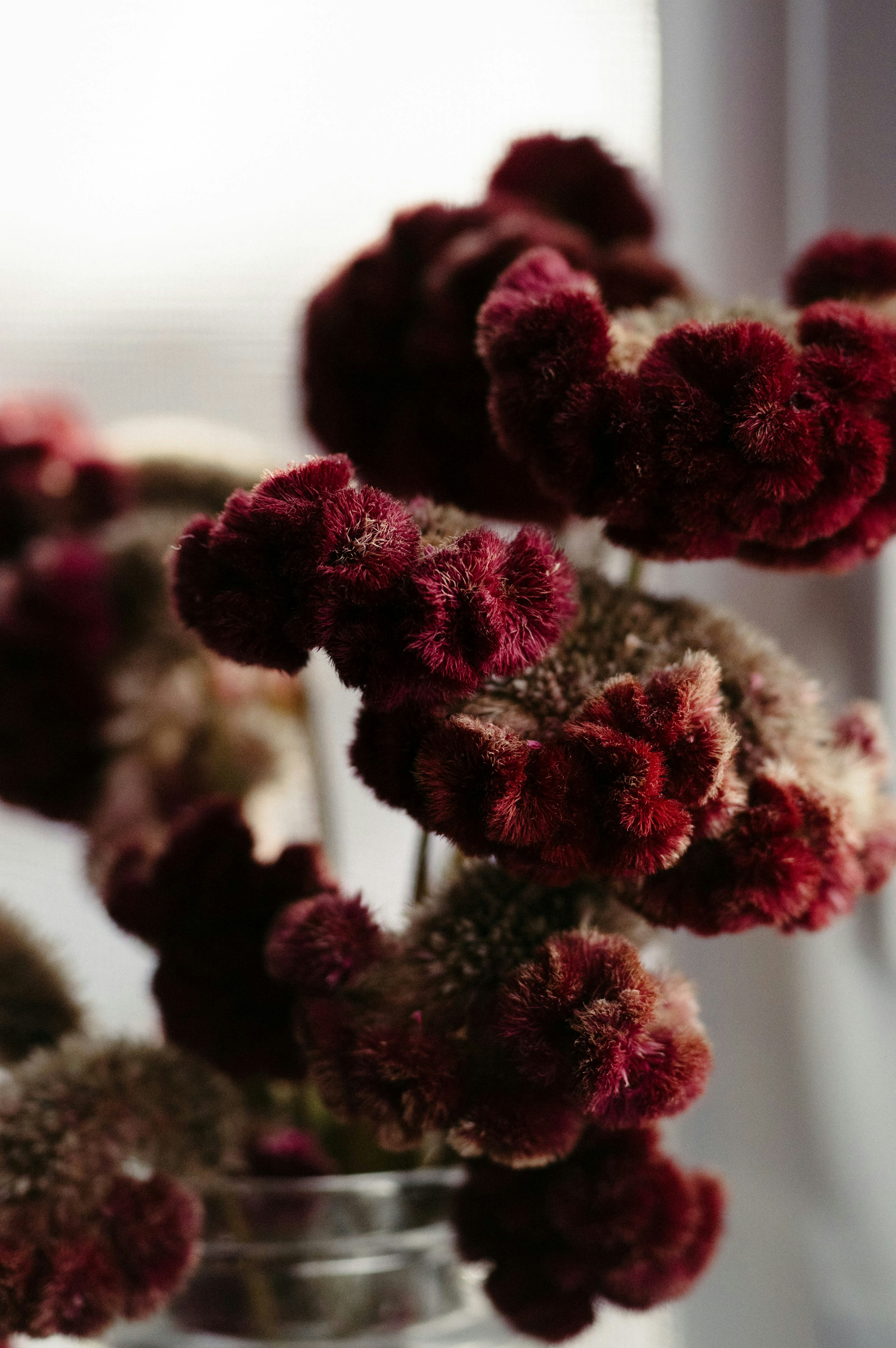 Photo by tristan_gevaux