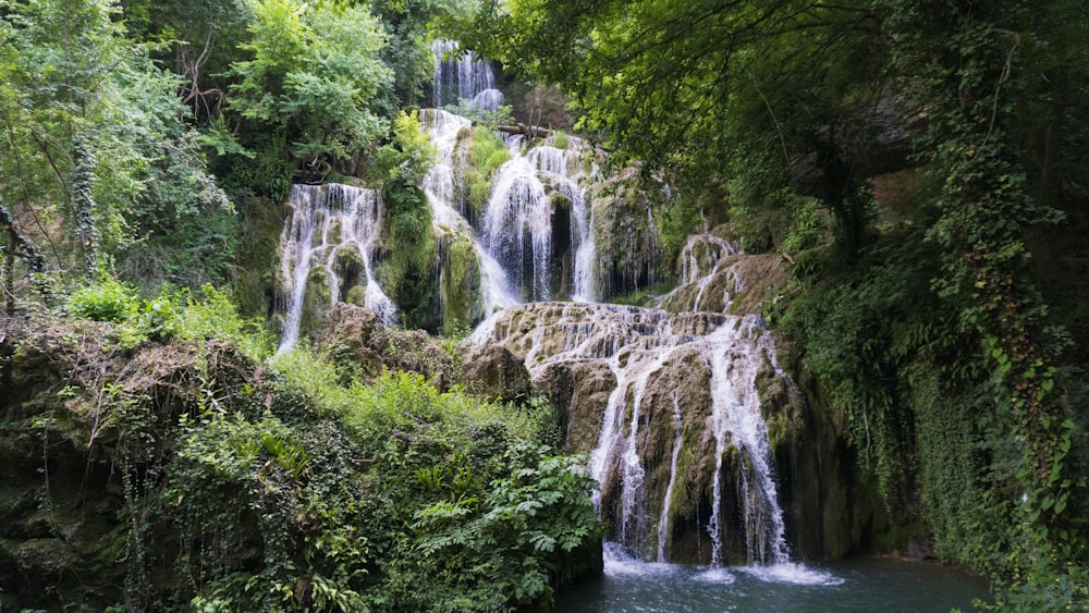 waterfalls surrounded by green leafed trees