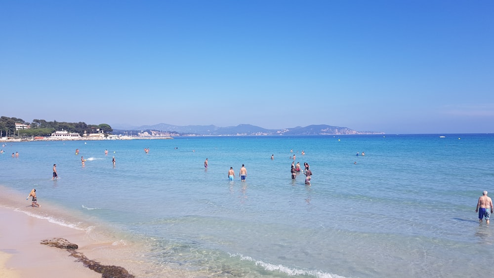 people on beach under blue sky