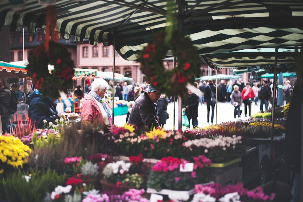 people picking flowers