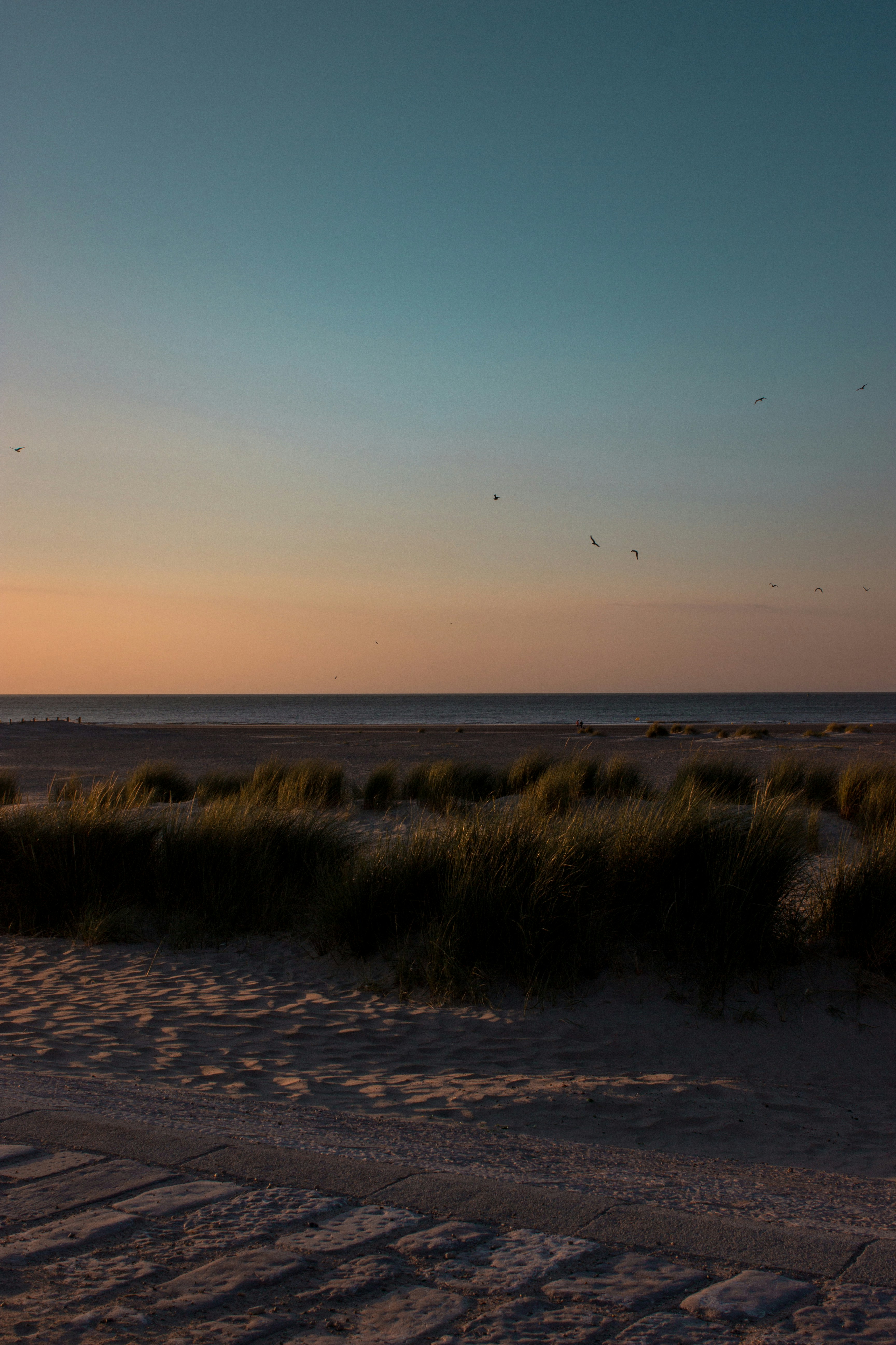 Photo by hannahrdg