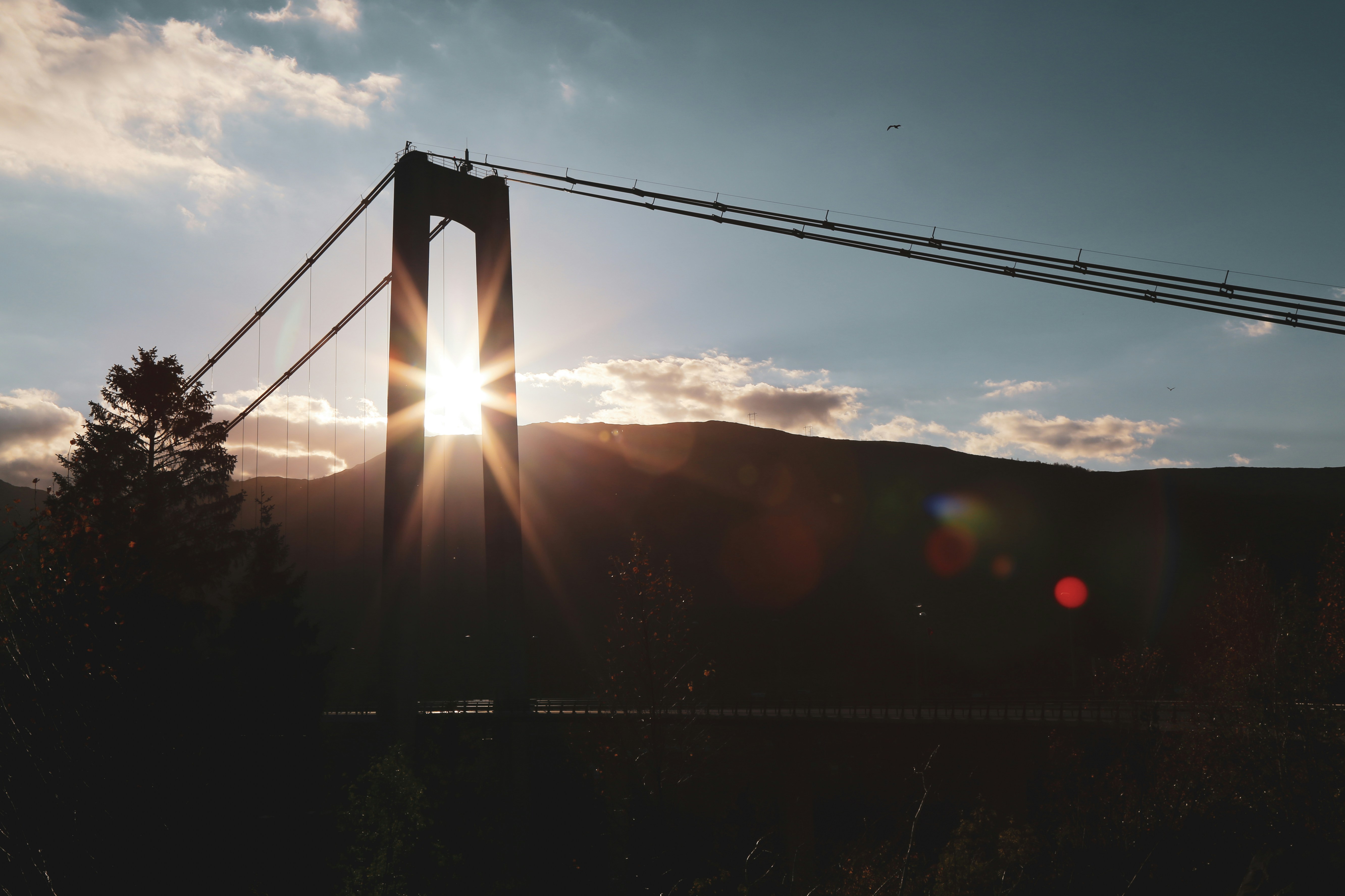 Photo by graphicnode