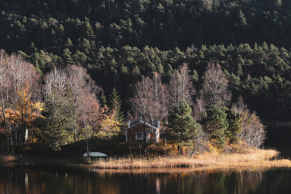 house near water