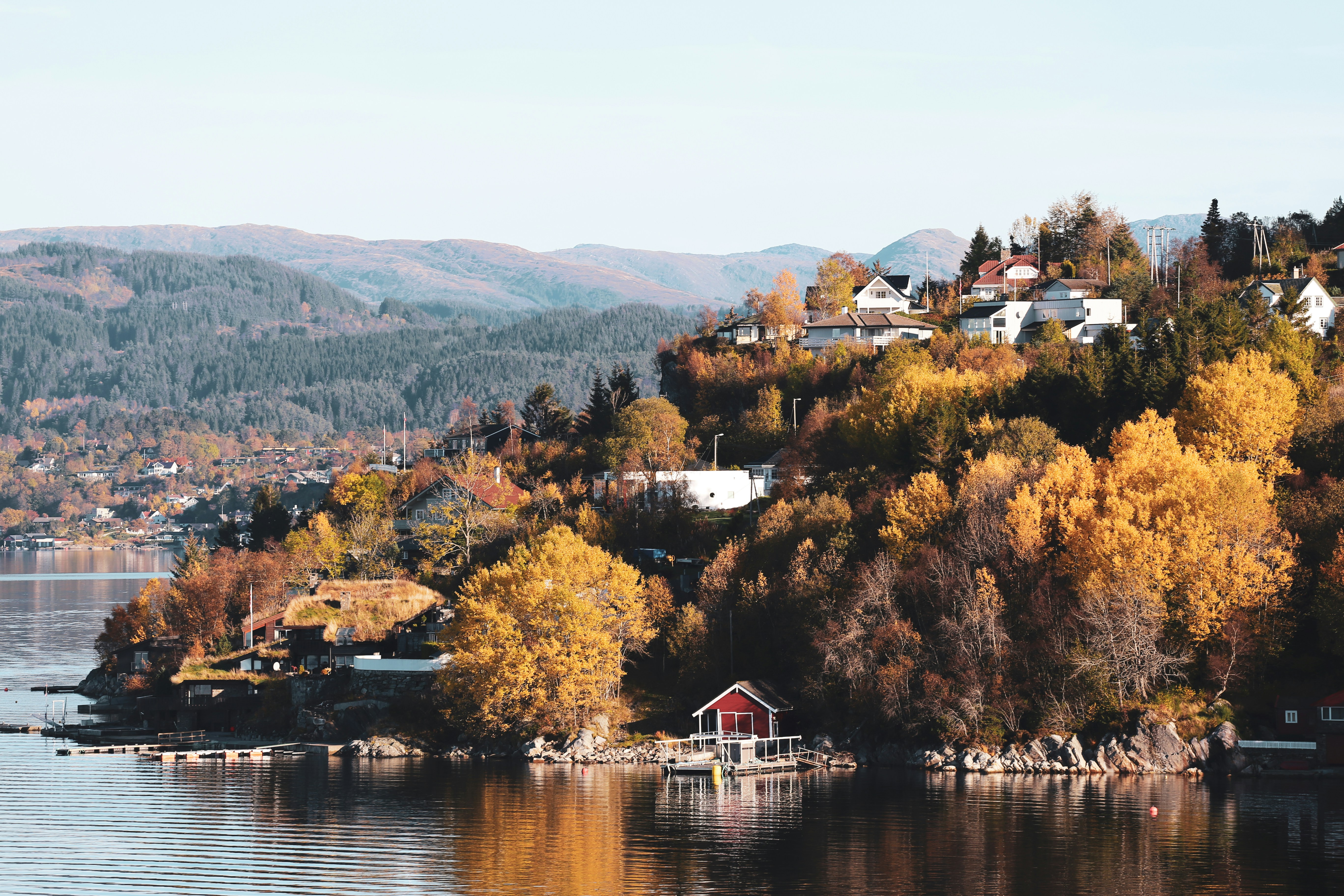 Photo by graphicnode