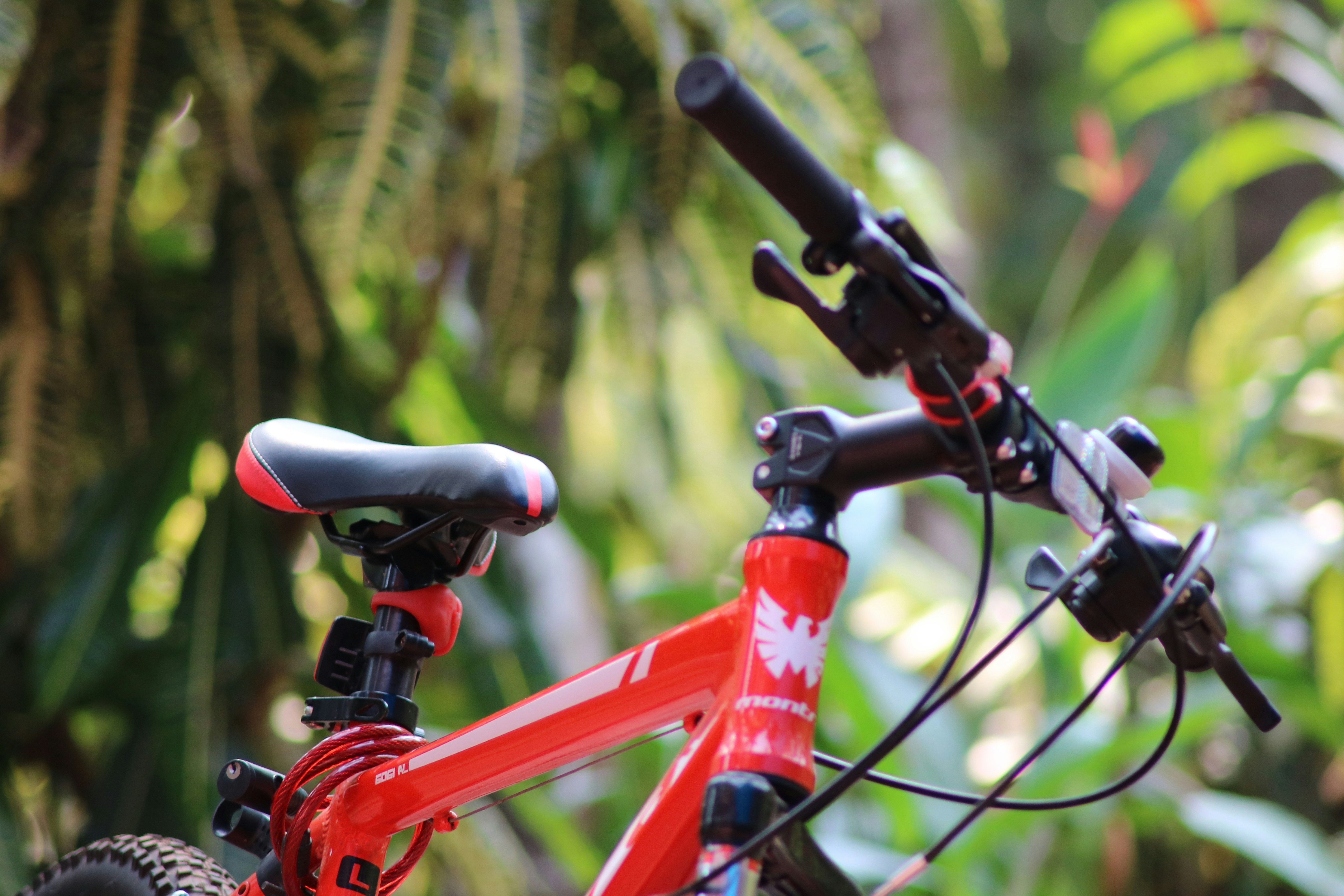 kids bicycle closeup