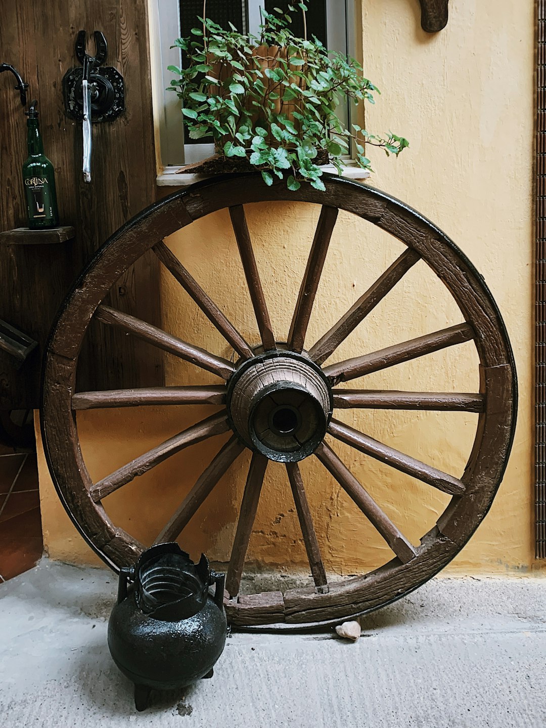 brown carriage wheel on focus photography