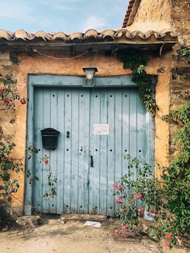 A rustic wooden door with a light blue paint finish, framed by aged stone walls and creeping vines. A black mailbox is attached to the door, and there is a small sign near its center. Pink flowers and green foliage weave around the entrance, adding a vibrant contrast to the weathered wood. A black lantern hangs above the door, providing a quaint and vintage touch.